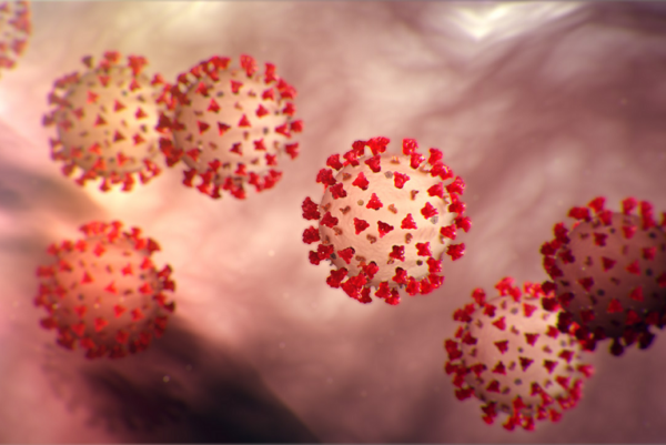 Coronaviruses