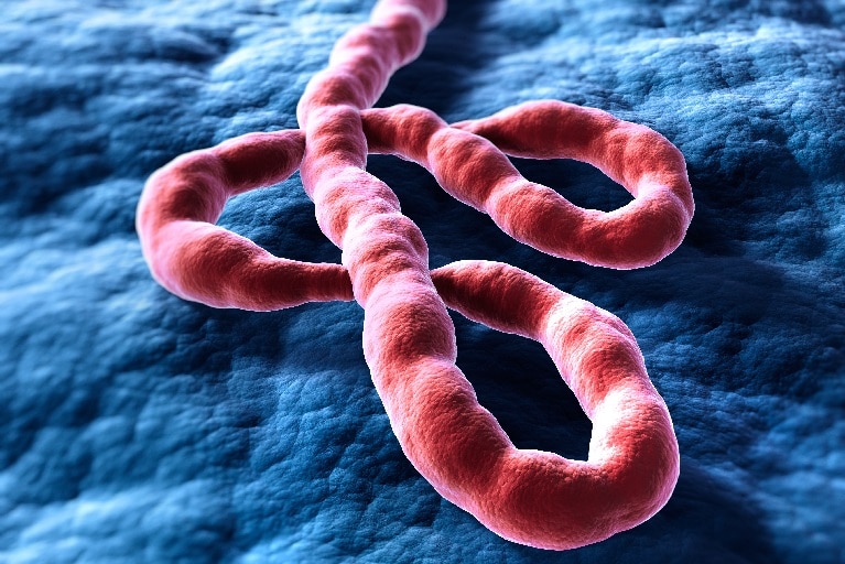 Render of Ebola