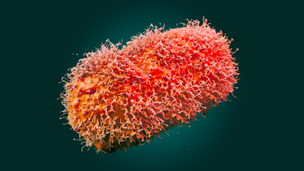 Mpox microscopic image
