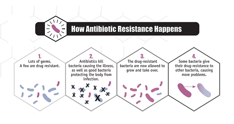 How antibiotic resistance spreads