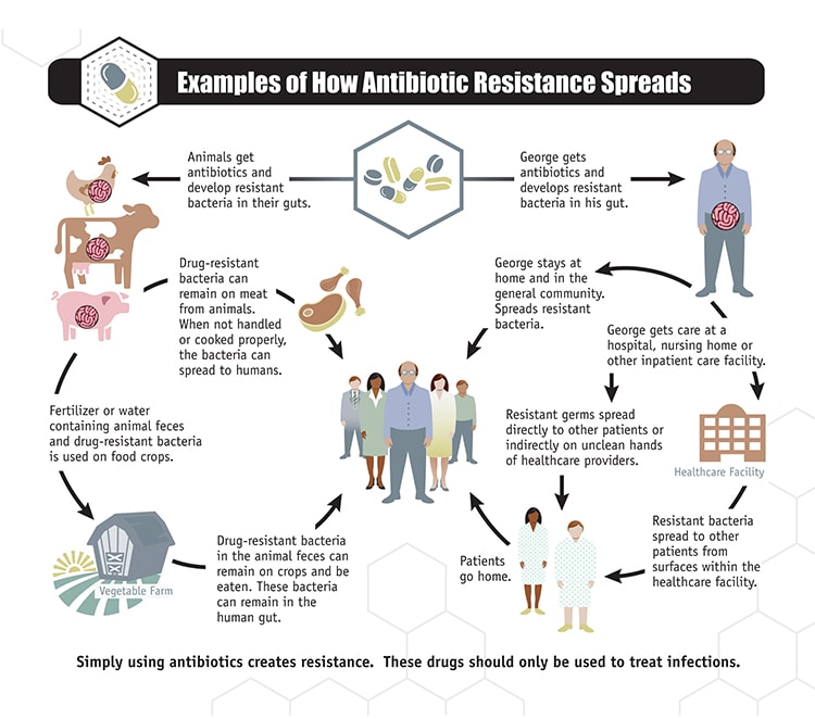 2-how_antibiotic_resistance_spreads.jpg