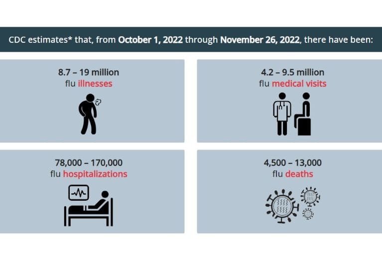 CDC Flu Burdent