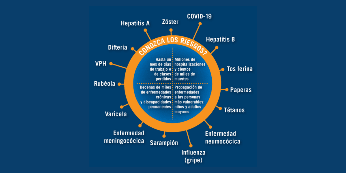 Adult vaccines in Spanish
