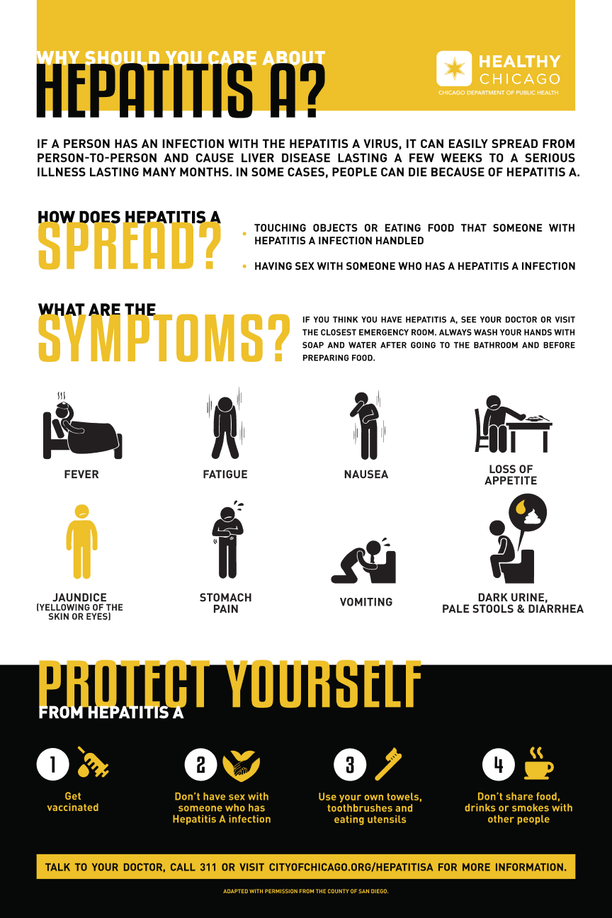 Hep A Infographic 2