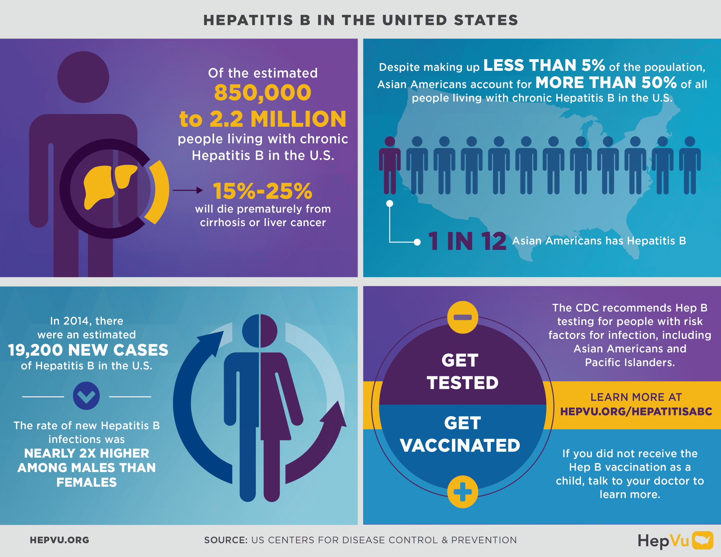 HepB Infographic