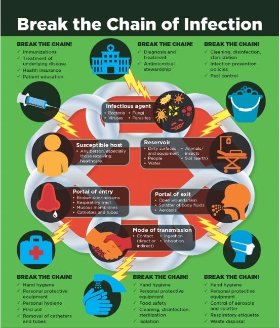 infographic