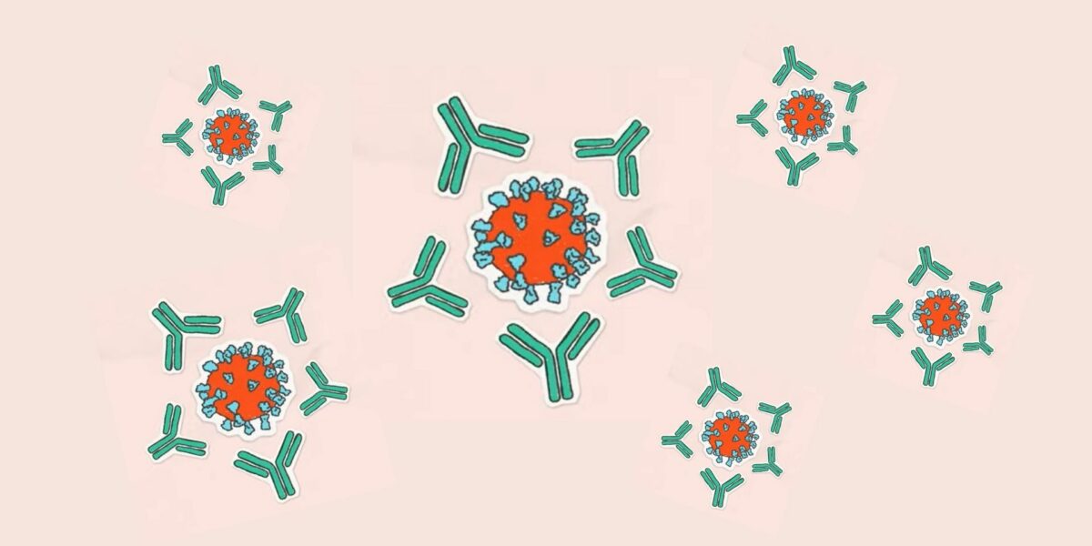 Monoclonal antibodies animated image