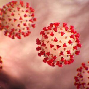 microscopic image of the virus that causes COVID-19