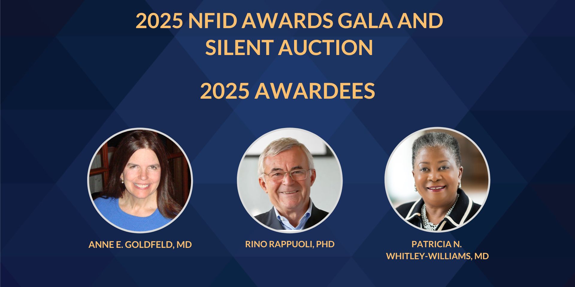 2025-Awardees-Web-1 2025 NFID Awardees