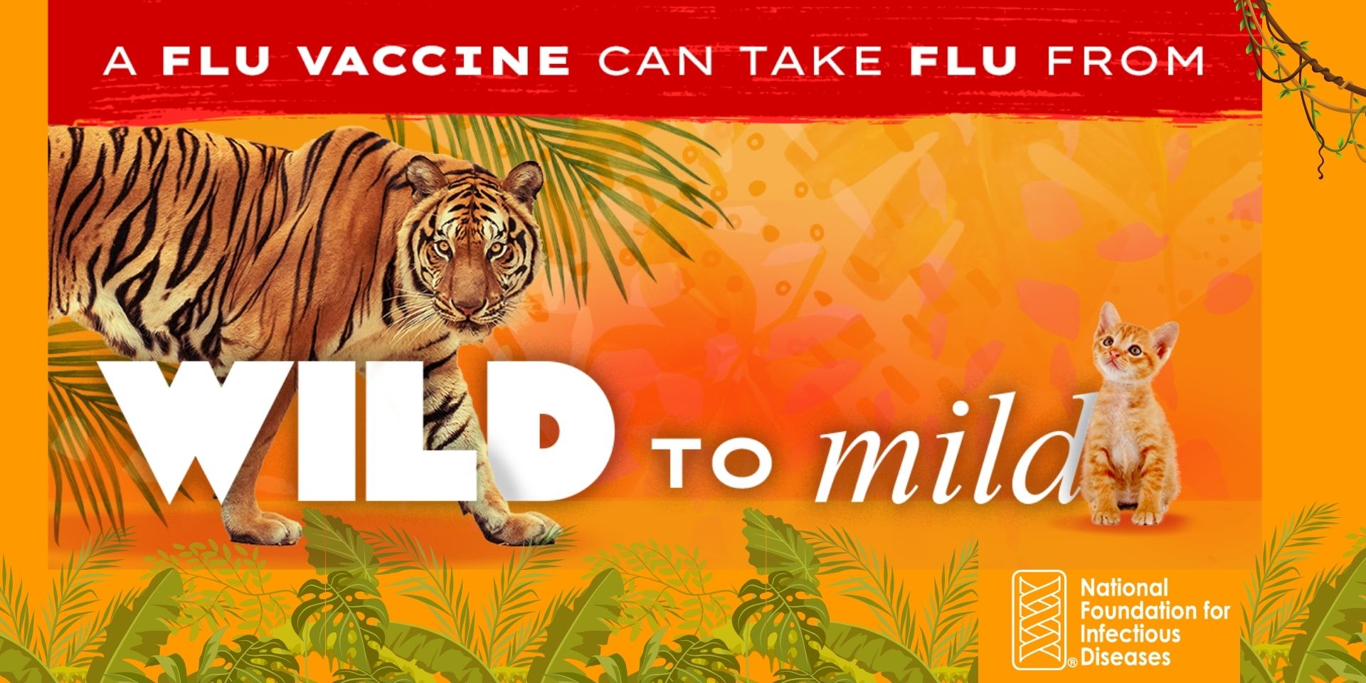 Wild to Mild - Tiger