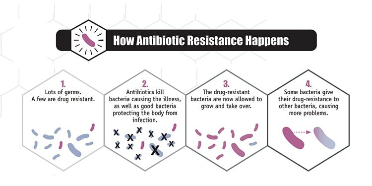 How antibiotic resistance spreads