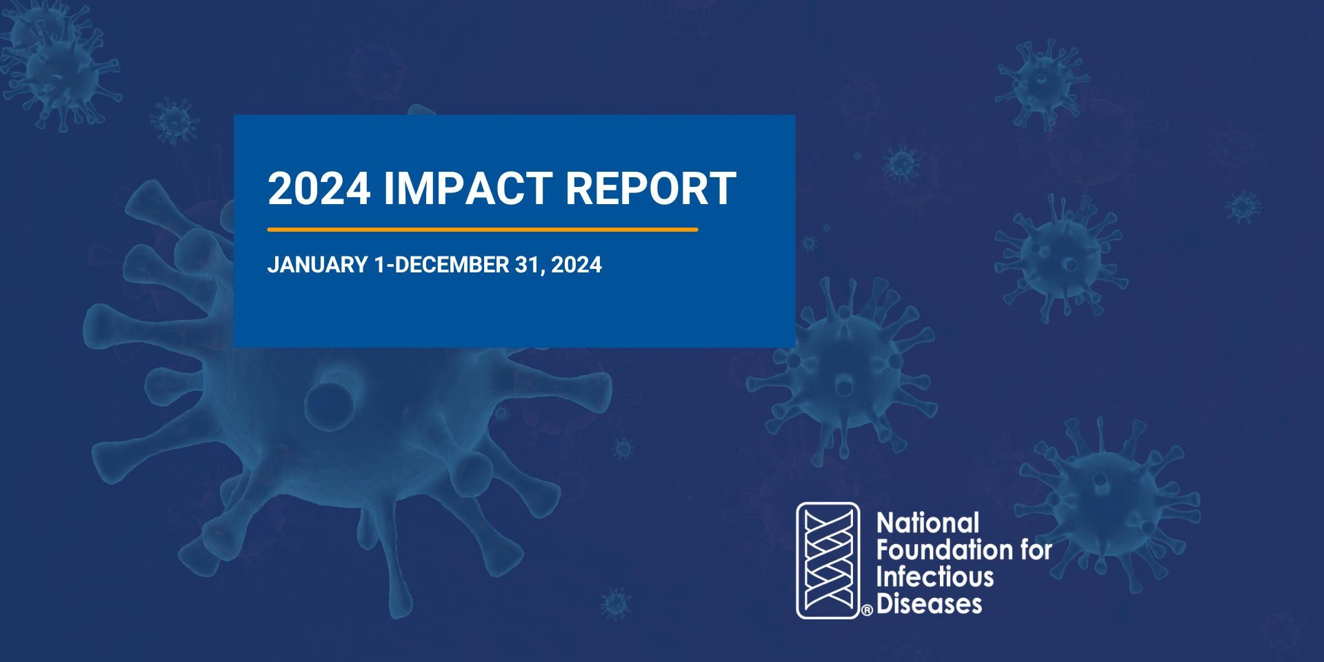 2024 Impact Report Cover 2024 NFID Impact Report Cover