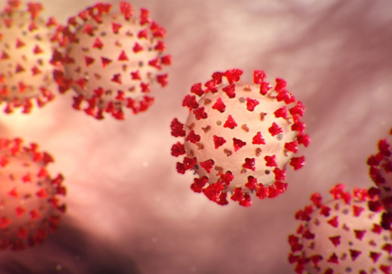 microscopic image of the virus that causes COVID-19