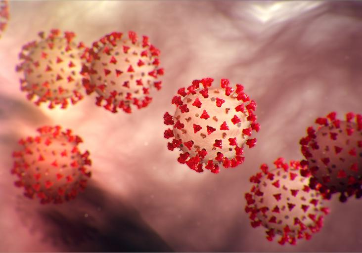 Coronaviruses