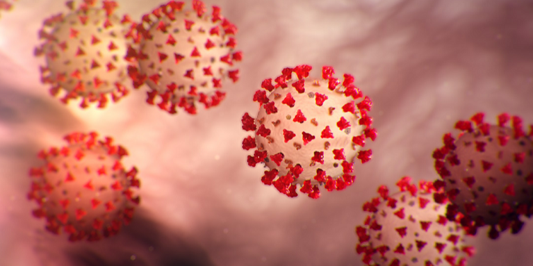 Coronaviruses