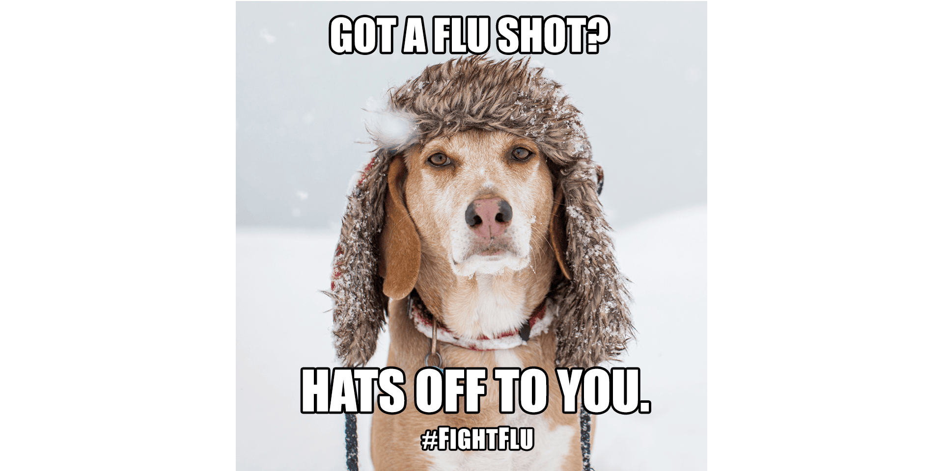 Hats-Off Meme_Featured Image #FightFlu