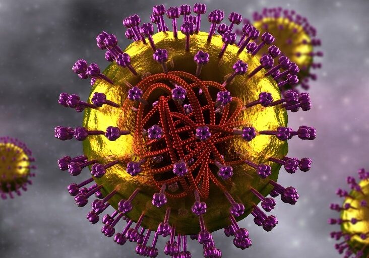 Measles Cell - Microbiology detailed view Measles Graphic