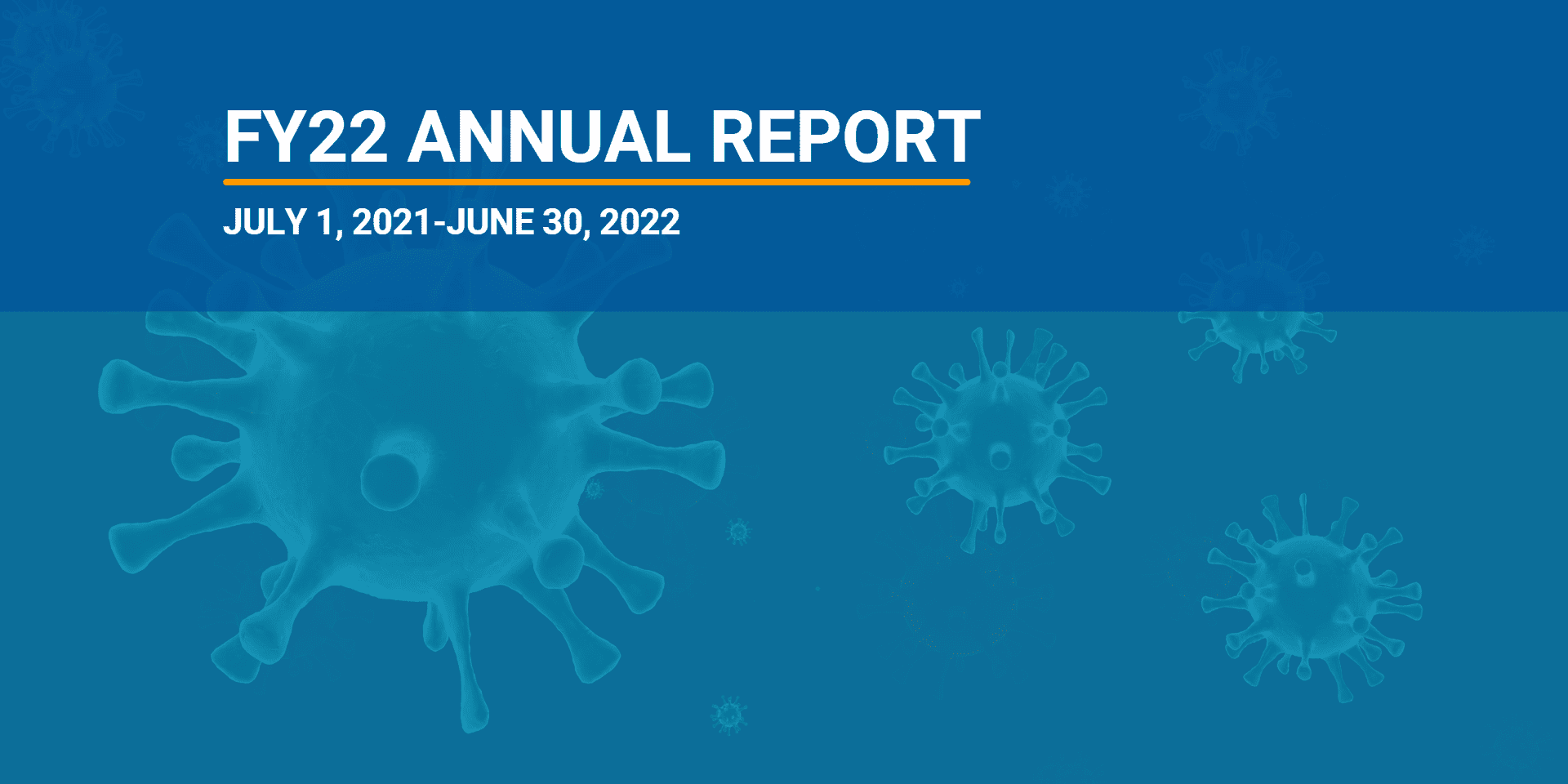 NFID Annual Report FY2022-Blog NFID Annual Report for FY2022