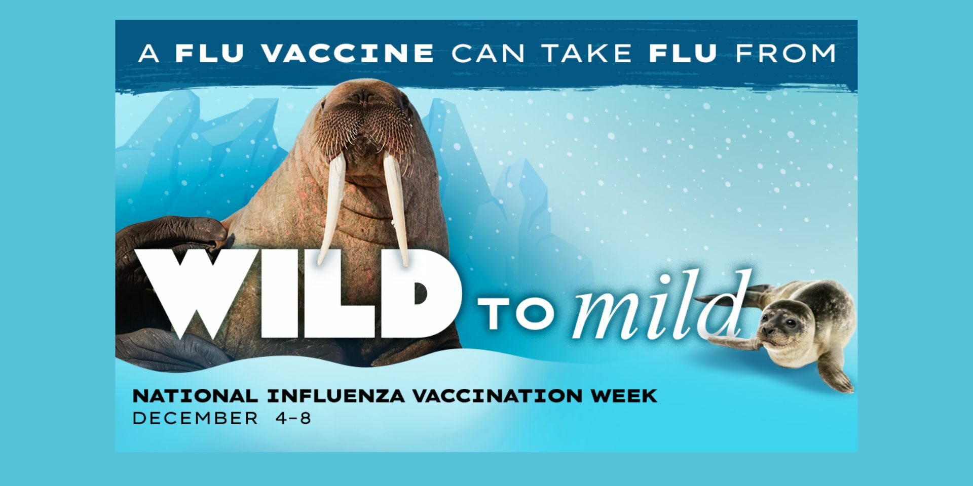 NIVW-2023-Wild-to-Leve-Walrus._Featured-Image La vacuna contra la gripe puede atenuar la intensidad de la enfermedad. La Semana Nacional de la Vacunación contra la Influenza (gripe) es del 4 al 8 de diciembre
