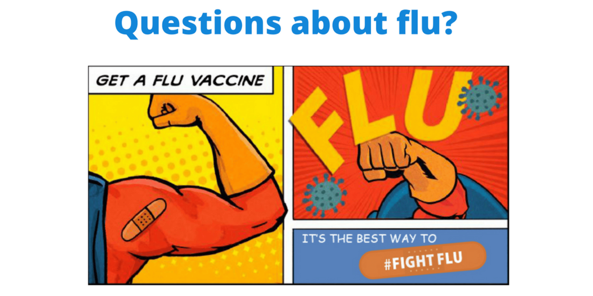 Questions About Flu?