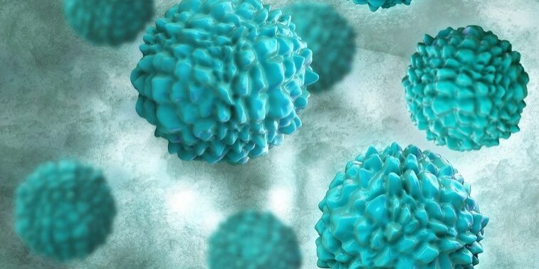 Norovirus Noroviren 诺如病毒 Noroviren