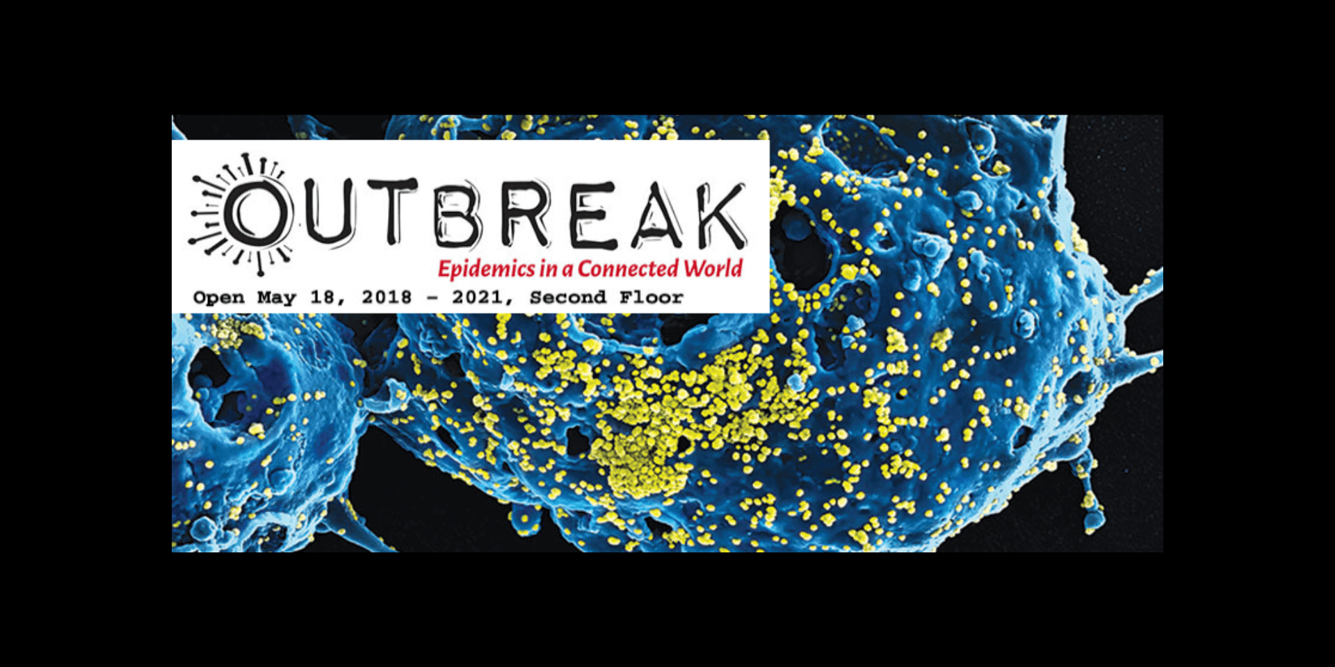 Outbreak: Epidemics in a Connected World exhibit