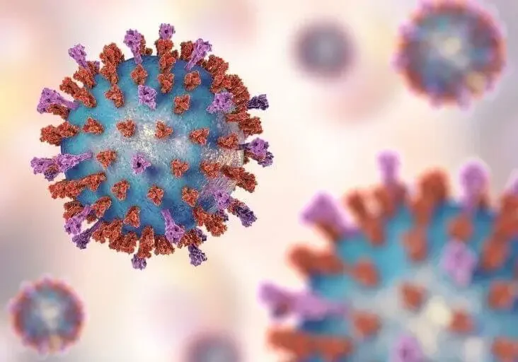 Vector image of RSV