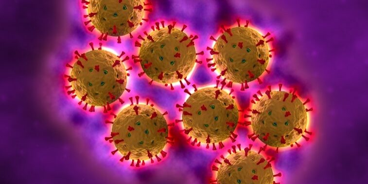 Rotavirus Cells - in fluid