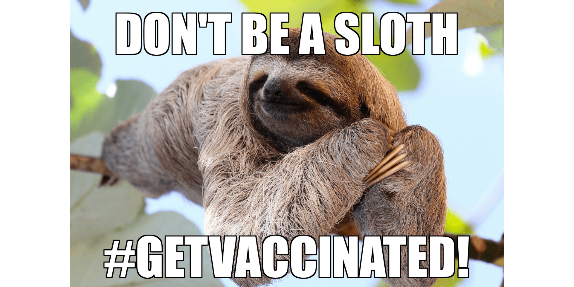 Sloth Photo Meme_Featured Image Don't be a sloth, #GetVaccinated