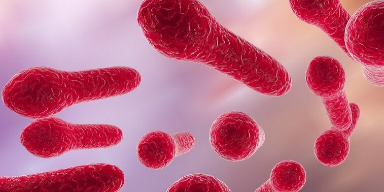 Digital illustration of Clostridium tetani, Clostridium perfringes, Clostridium difficile, model of bacteria, bacterium which causes tetanus, gas gangrene, wound infection, spore forming bacteria