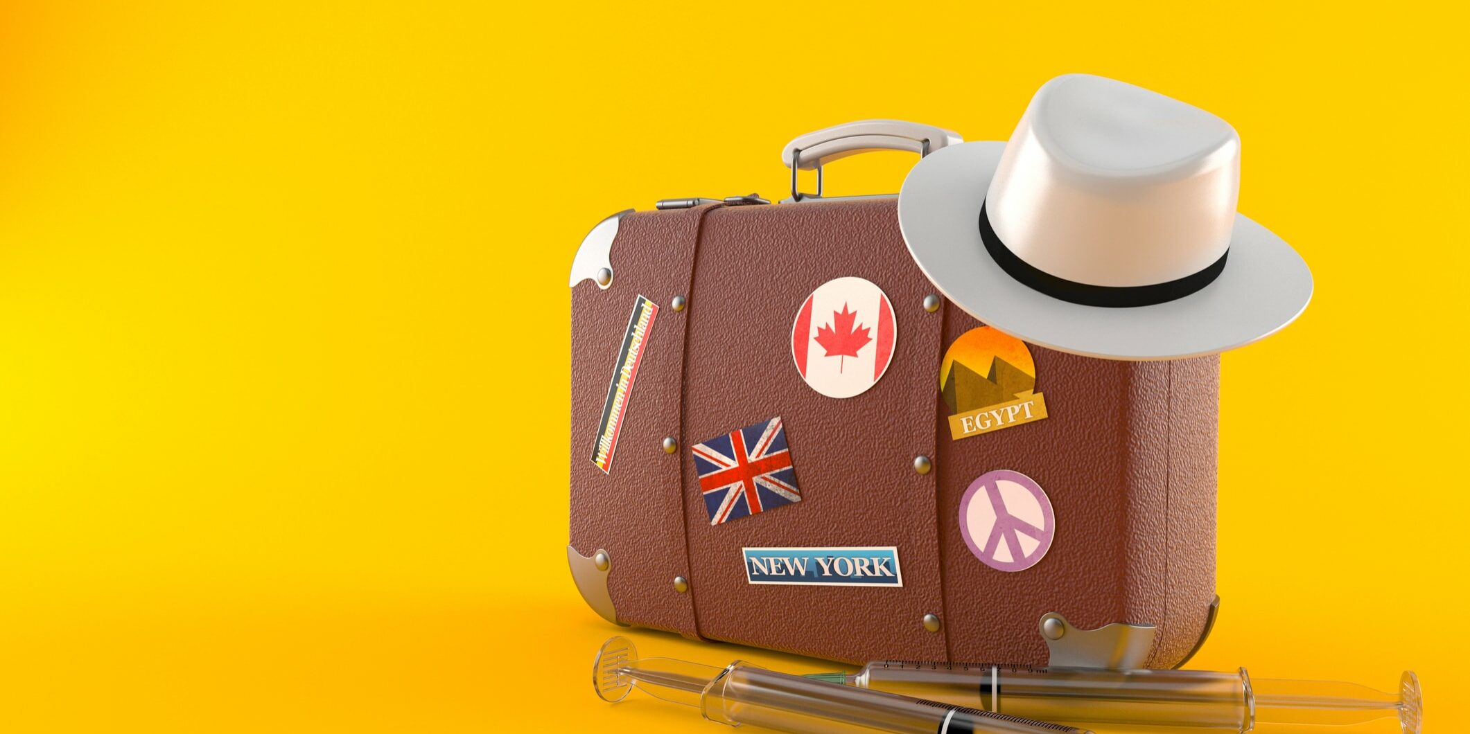 Travel case with syringe Protect your family from Zika infographic
