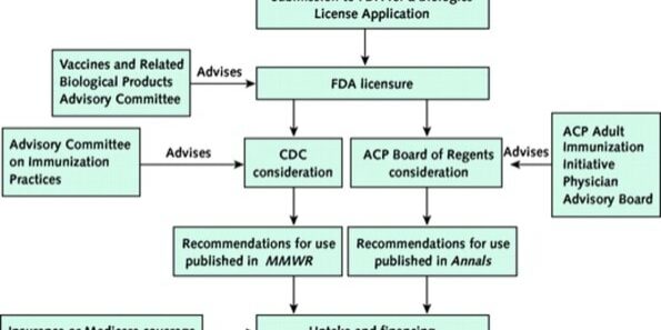 vaccinerecflowchart vaccinerecflowchart