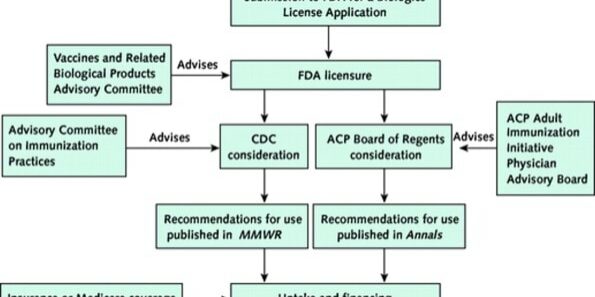 vaccinerecflowchart